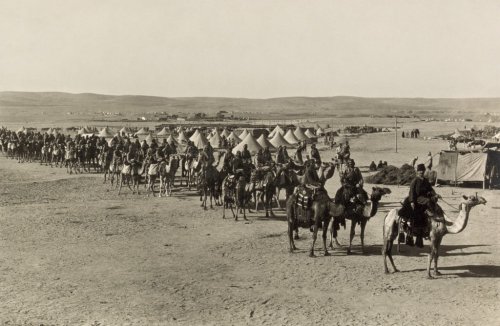 Caravan Camels Beersheba 1915 Black And White - 901150214