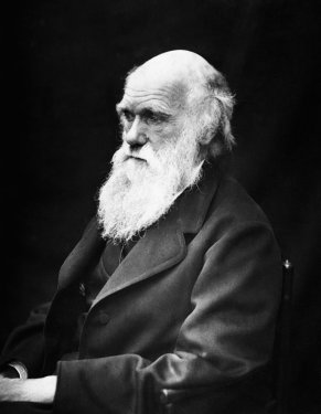 Charles Robert Darwin Scientists Naturalist