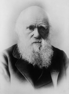 Charles Darwin Scientists Theory Of Evolution - 901150259