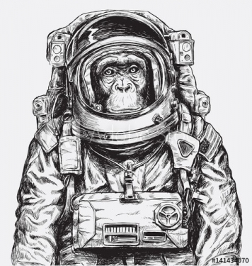 Hand Drawn Monkey Astronaut Vector - 901150454