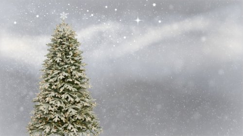 Christmas Christmas Tree Christmas Card - 901150466