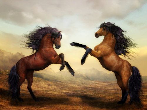 Cheval - Horses Wild Horses Digital Art Nature Landscape