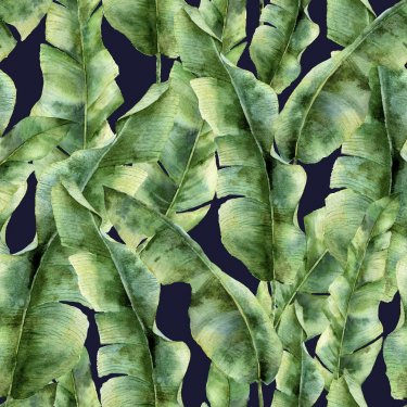 Watercolor pattern with banana palm leaves. Hand painted exotic greenery bran... - 901150637