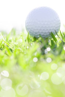 golf ball on grass with water drops - 901150689