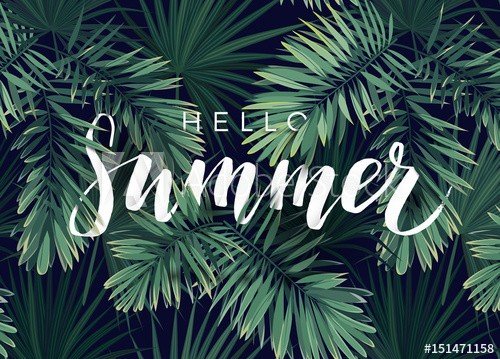 Summer tropical vector calligraphy design with exotic dark green palm leaves on the background.