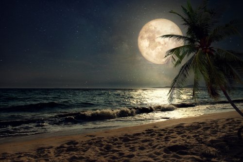 Beautiful fantasy tropical beach with Milky Way star in night skies, full moo... - 901151178