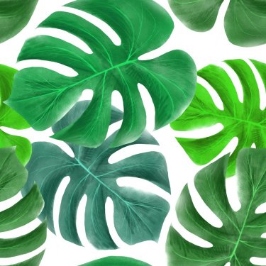 Tropical Greens Leaves Design Picture Nature Plant