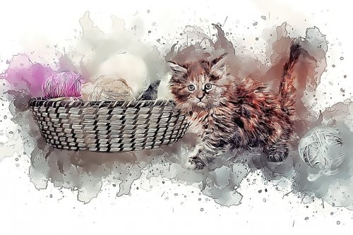 Cat Young Cat Kitten Ball Of Wool Playful - 901151211