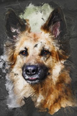 Dog Hybrid Brown Comrade Portrait Friend - 901151222