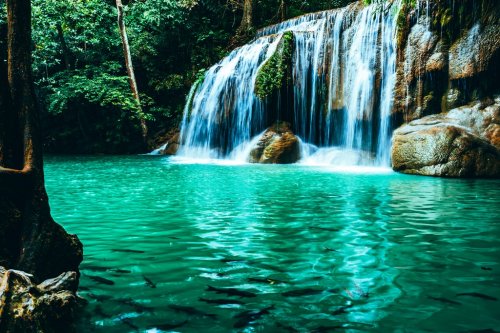 beautiful waterfall in green forest - 901151341