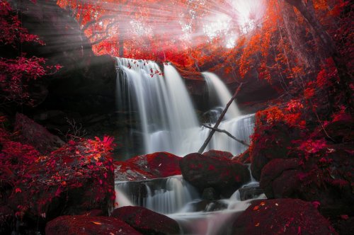 Man Daeng waterfall. - 901151342
