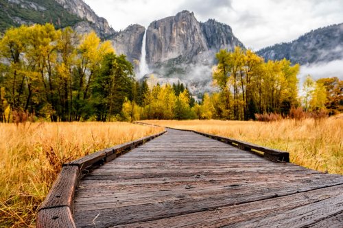 Meadow with boardwalk in Yosemite National Park Valley at autumn - 901151365