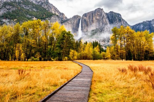 Meadow with boardwalk in Yosemite National Park Valley at autumn - 901151366