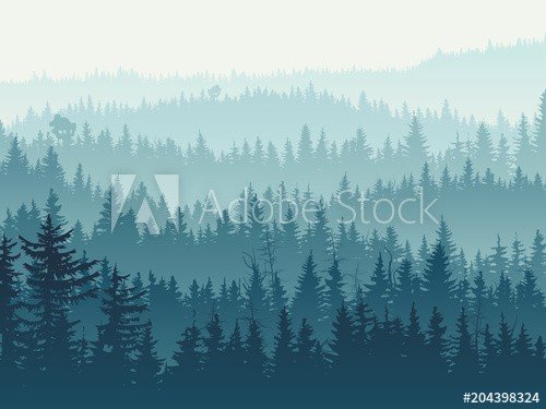 Horizontal illustration of blue coniferous forest. - 901151878