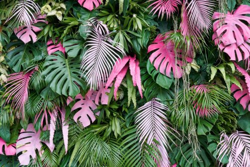 Tropical trees arranged in full background Or full wall There are leaves in d... - 901152340