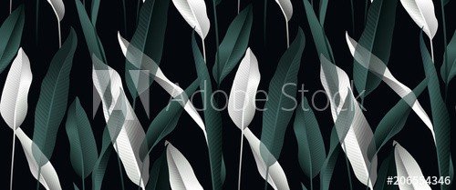 Tropical plant seamless pattern, white and green Bird of paradise leaves on black background