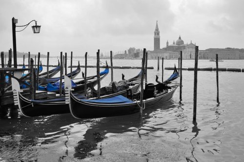 Black and white and blue shot of gondola boats on the Grand Canal in Venice, ... - 901152868