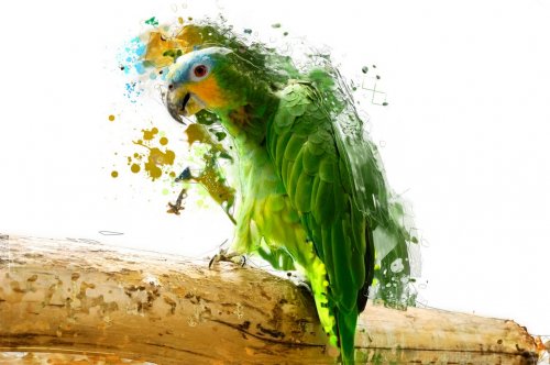 Green parrot on the branch, abstract animal concept - 901153391