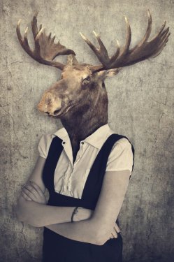 Moose in clothes. Concept graphic in vintage style. - 901153402