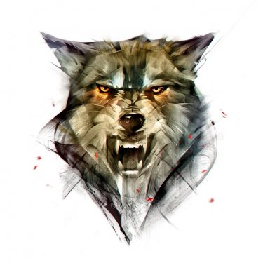 drawn isolated color portrait of a wolf animal - 901153448