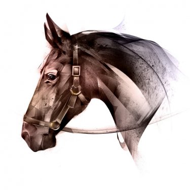 painted colored of an animal horse side - 901153460
