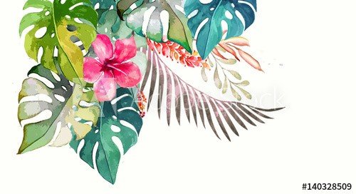 Hand drawn watercolor tropical plants - 901153464