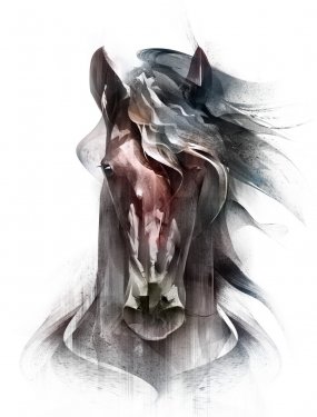 painted colored horse portrait isolated in front - 901153500