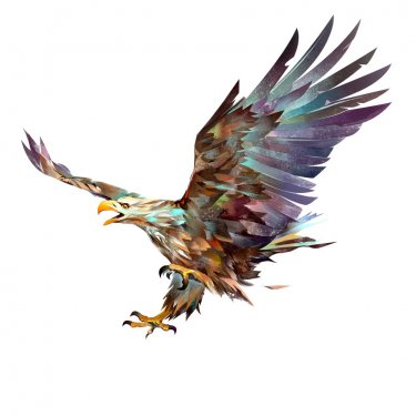 Painted bright flying eagle on white background