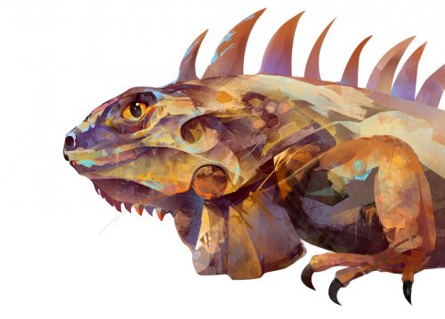 painted iguana lizard