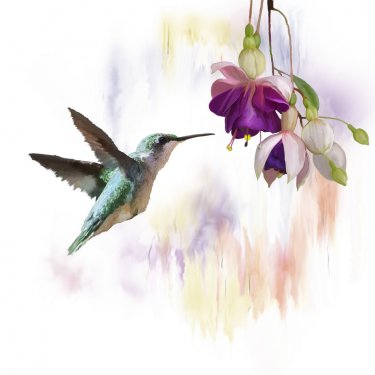 Hummingbird and flowers watercolor - 901153659