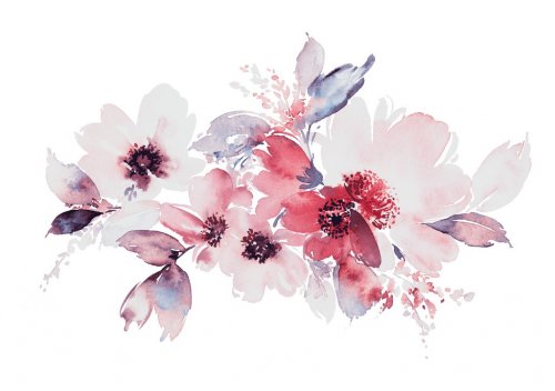 Flowers watercolor illustration - 901153678