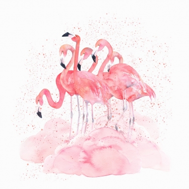 Watercolor flamingos with splash. Hand drawn isolated illustration - 901153691