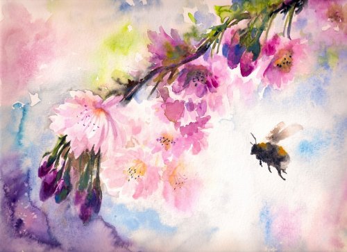 Bumblebee flying to the pink cherry flowers.Picture created with watercolors.