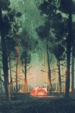 camping in forest at night with stars and fireflies,illustration,digital pain... - 901153832