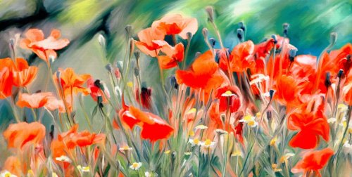 art watercolor poppies paint background  - 901153840