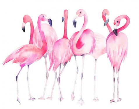 Watercolor flamingos. Hand drawn summer illustration - 901153853