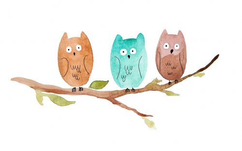 three owls sitting on a branch
