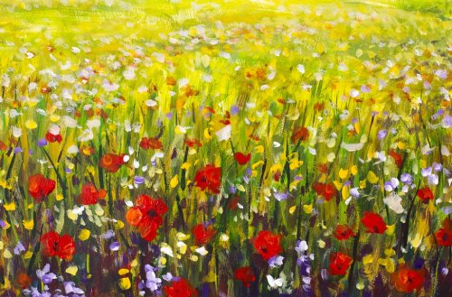 Oil painting of a poppy field. Summer flowers red field. Modern art - impressionism, texture.