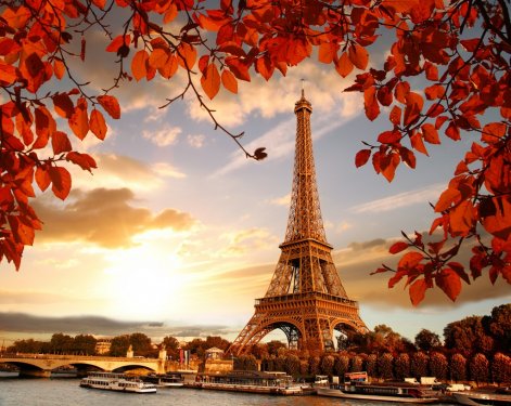 Eiffel Tower with autumn leaves in Paris, France - 901153985