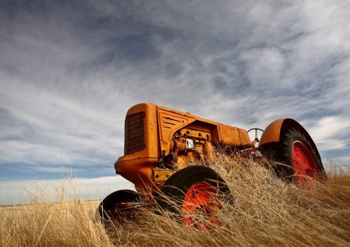 Tumbleweeds piled against abandoned tractor - 901154068