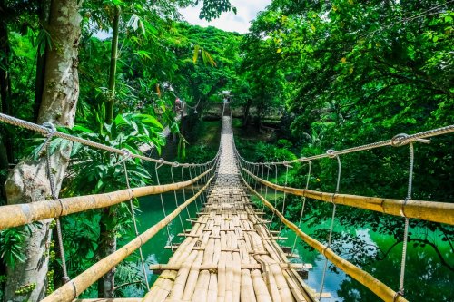 Bamboo pedestrian suspension bridge over river - 901154167