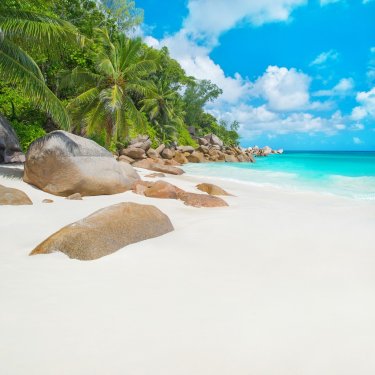 Tropical beach Anse Georgette at island Praslin, Seychelles - 901154202