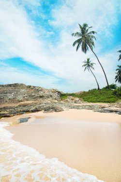 Beach with waves against rock and palm trees in sunny day - 901154209