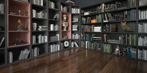 Stanza con grande libreria piena di libri e oggetti, con gatto, rendering 3d, illustrazione 3d