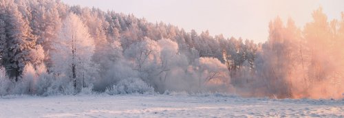 Winter landscape. Christmas morning - 901154389