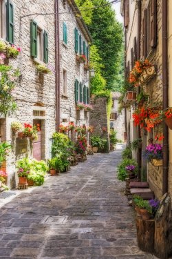 Narrow old street with flowers in Italy - 901154415