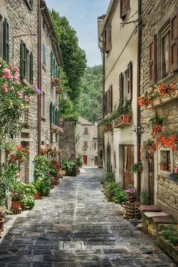 Narrow old street with flowers in Italy - 901154416