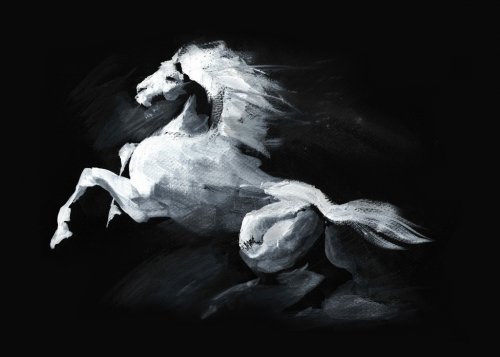 illustration of horse - 901154445