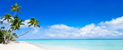Beach Panorama with blue water and palm trees - 901154454