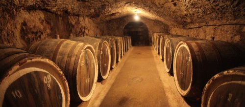 Old oak barrels in an ancient wine cellar - 901154543